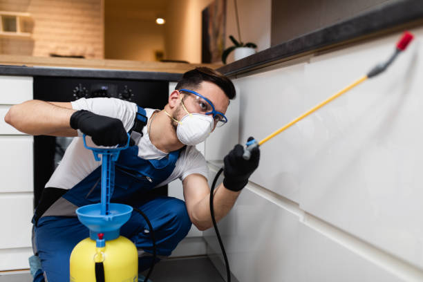 Best Bed Bug Extermination  in Bangor, MI