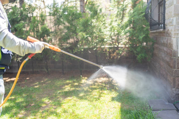Best Wasp Removal Services  in Bangor, MI
