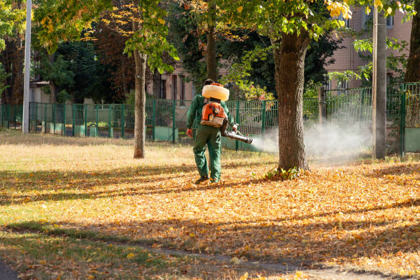 Best Exterminator Services  in Bangor, MI