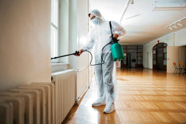 Best Local Pest Control Services  in Bangor, MI